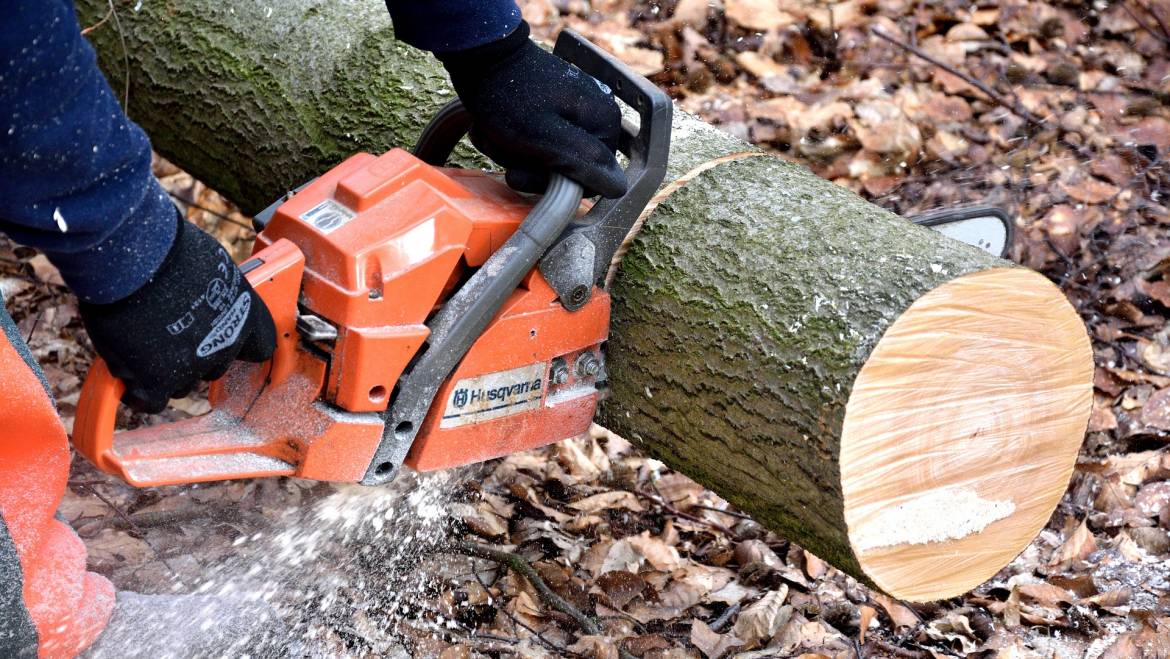 Tree Cutting