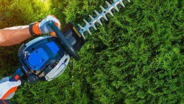 Landscaping & Maintaining